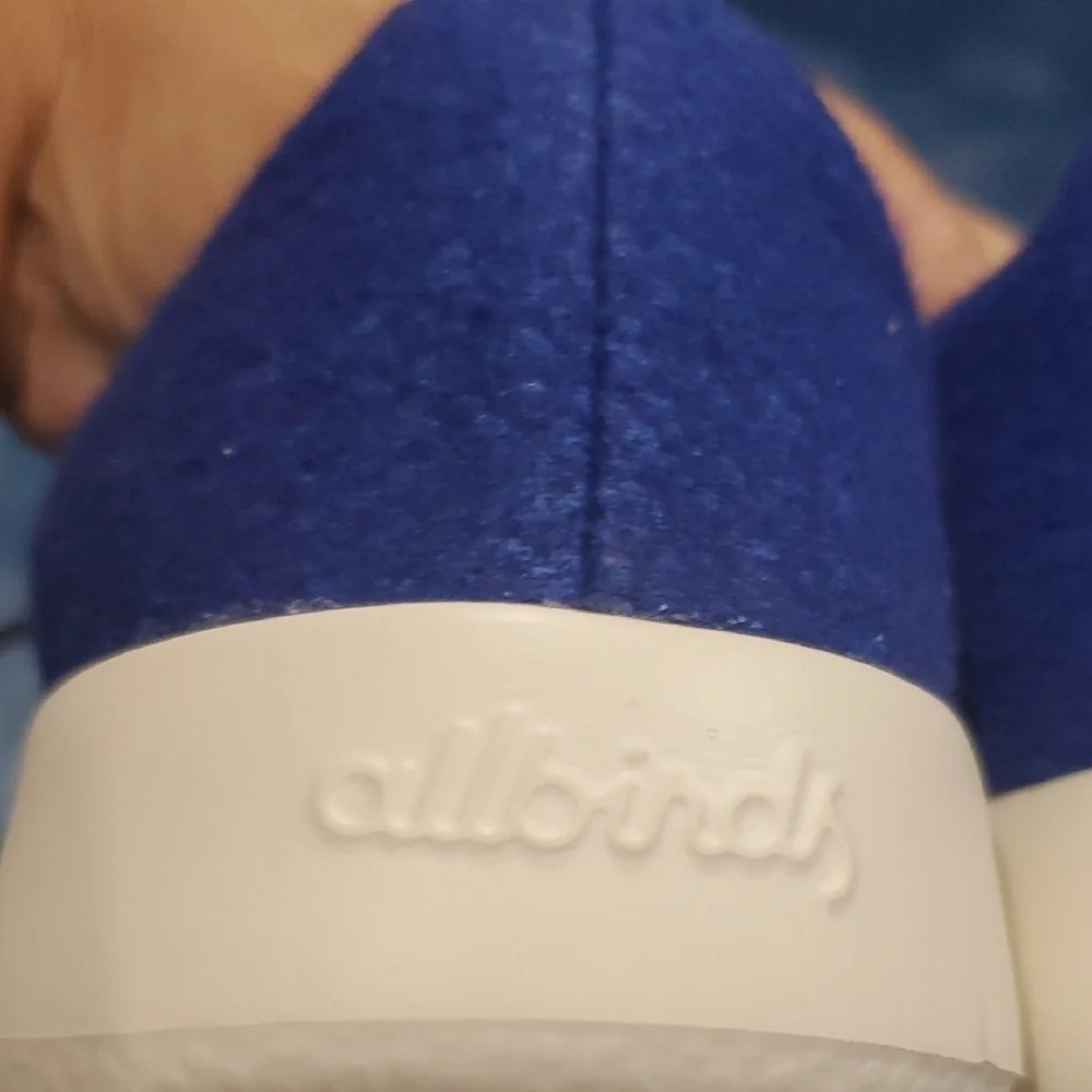 allbirds stylish blue